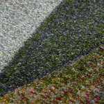 Santos_Detaljbild